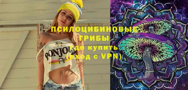 spice Алексеевка