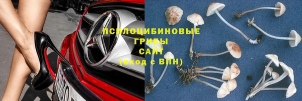 мяу мяу кристалл Алексин
