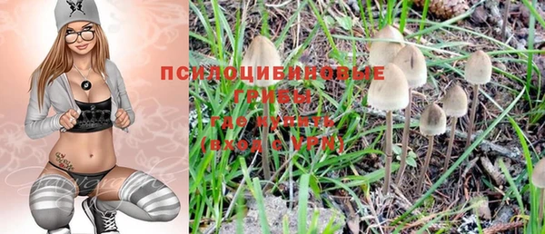МДПВ Алзамай