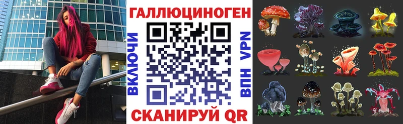 Псилоцибиновые грибы Cubensis  Невьянск 